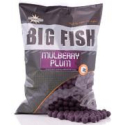 MULBERRY PLUM 20MM S/L - 1KG
