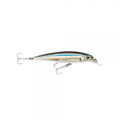 RAPALA X-RAP 10CM ANC
