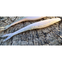 PERCANEGRA FERAL JERK COLOR 475