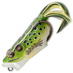 LIVE TARGET FROG POPPER 500