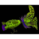 ARB HULA POPPER 2.0 WHITE ZOMBIE