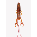 WALOBAITS MARAMBA CRAW 3" 005 SPECIAL CARROT