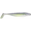 SHOCKWARE 4.25 BMSL
