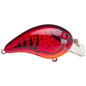 BOMBER 05 SHALLOW A 2 3/8 MAD CRAW