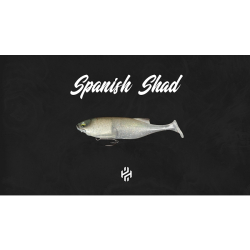 HISPANO POLARIS 4 SPANISH SHAD