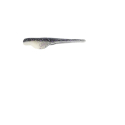 XZONE 6 WHIPLASH SMOKE PEARL LAMINATE