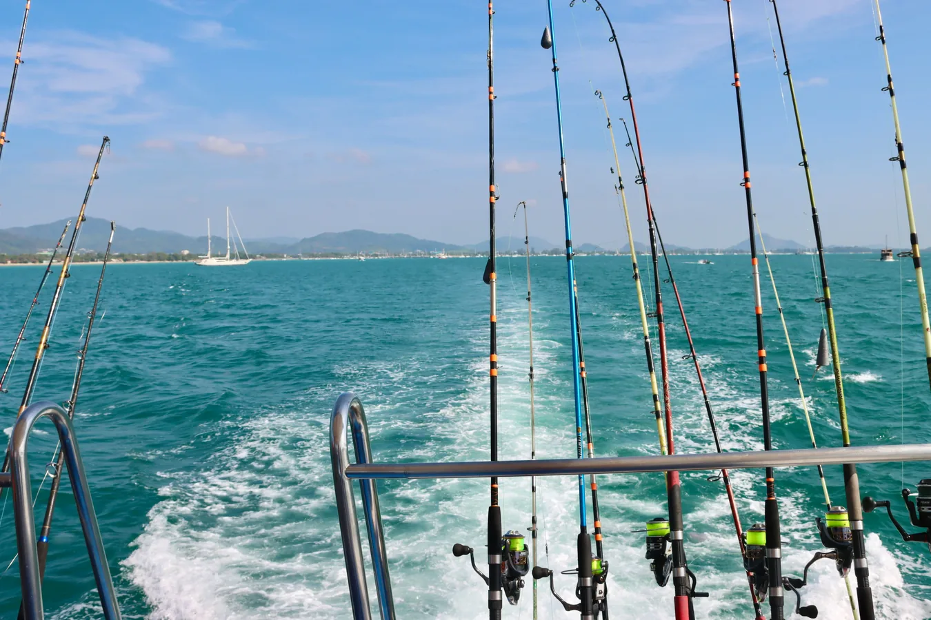 Varias cañas de pesca de distintas longitudes apoyadas junto al agua