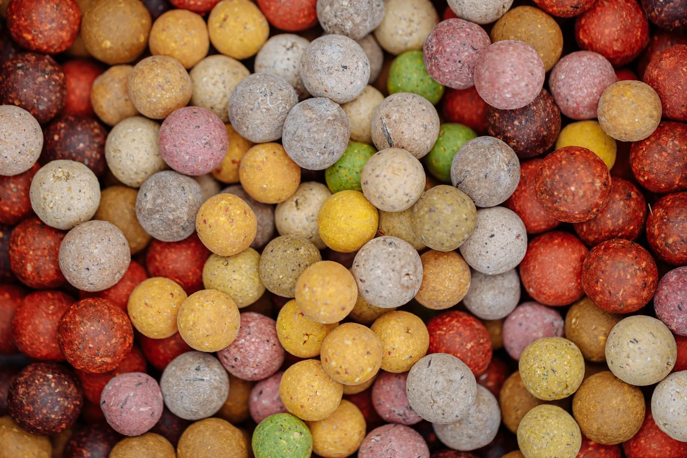 Boilies de colores variados esparcidos junto a un anzuelo montado en hair rig