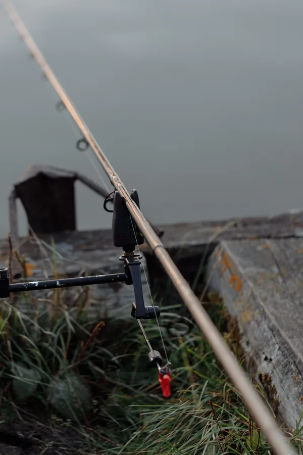 Alarma de picada de carpfishing con luz encendida colocada bajo la caña en el rod pod