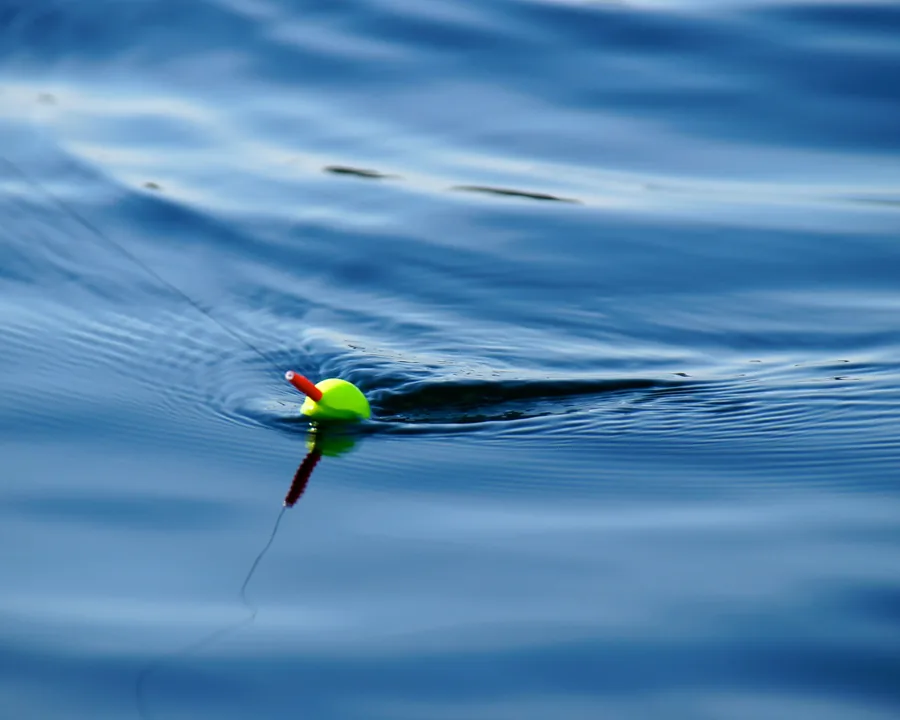 Popper de superficie golpeando el agua con salpicadura al ser recuperado en pesca de black bass