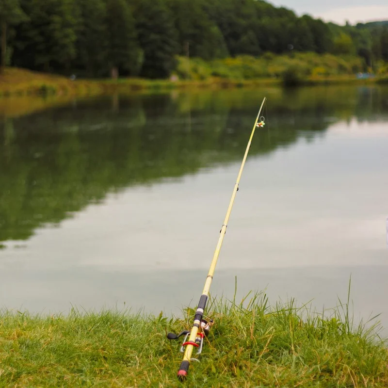 Cañas Casting y Spinning — Black Bass GabFishing