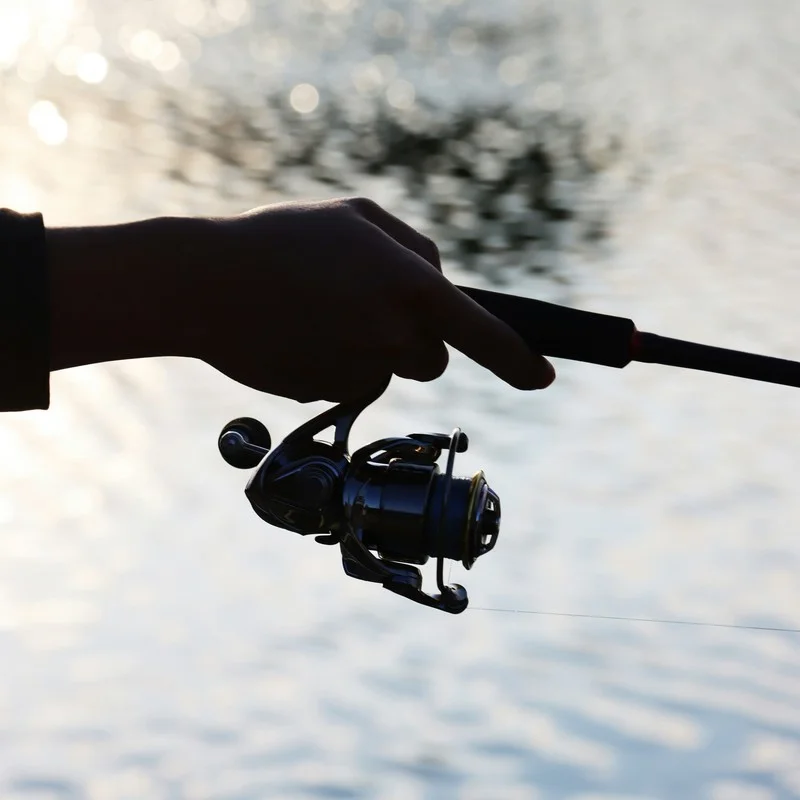 Carretes Casting y Spinning — Black Bass GabFishing